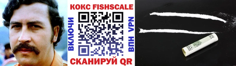 МЕГА как зайти  Ясногорск  COCAIN Fish Scale 