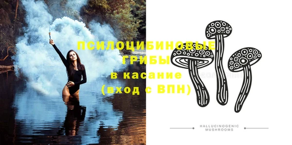 прущая мука Белокуриха