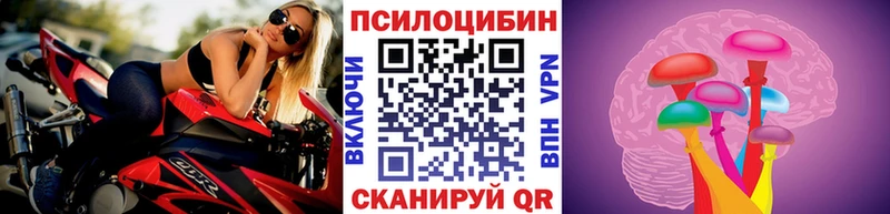 где купить наркоту  Ясногорск  Псилоцибиновые грибы мухоморы 
