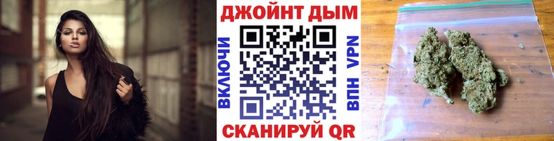 Канабис сатива  Ясногорск 